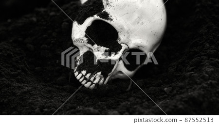Human skull in the soil black and white 87552513