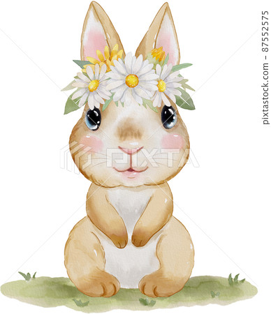 watercolor rabbit illustration 87552575