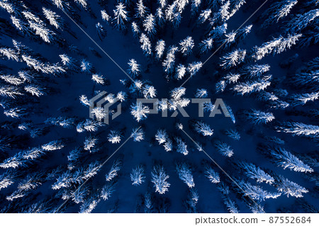 Aerial drone view of snow covered forest 87552684