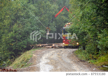 Loading a timber truck in the forest 87553180