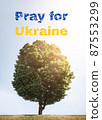 Pray for Ukraine. Inscription on a background of green lush tree and blue sky with sunlight. Help all civilians of Ukraine. 87553299
