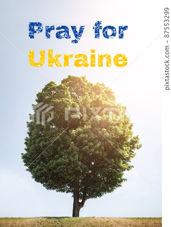 Pray for Ukraine. Inscription on a background of green lush tree and blue sky with sunlight. Help all civilians of Ukraine. 87553299