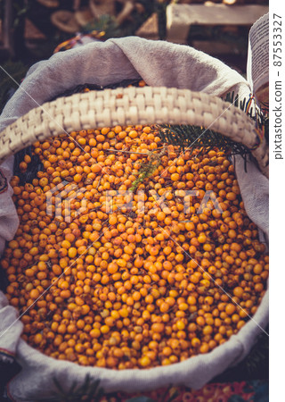 Orange sea buckthorn Orange sea buckthorn 87553327