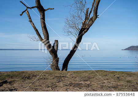 A beautiful lake view in the morning. A mist over the blue lake A beautiful lake view in the morning. A mist over the blue lake 87553648