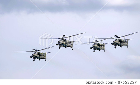 ZHUKOVSKY, RUSSIA - SEPTEMBER 01, 2019 87555257