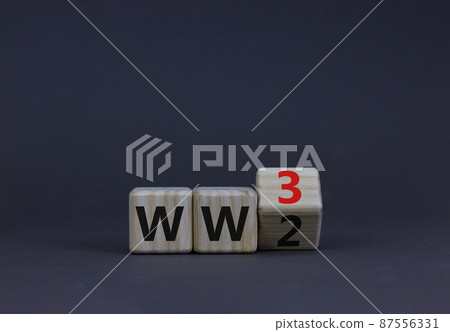 WW3 world war 3 symbol. Turned the wooden cube and changed the concept word WW2 to WW3. Beautiful grey table grey background, copy space. Business WW3 world war 3 concept. WW3 world war 3 symbol. Turned the wooden cube and changed the concept word WW2 to WW3. Beautiful grey table grey background, copy space. Business WW3 world war 3 concept. 87556331