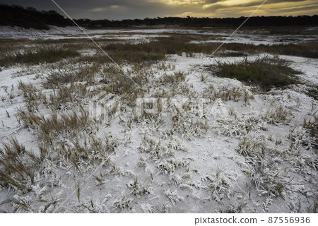 Saltpeter on the floor of a lagoon in a semi desert environment, La Pampa province, Patagonia, Argentina. 87556936