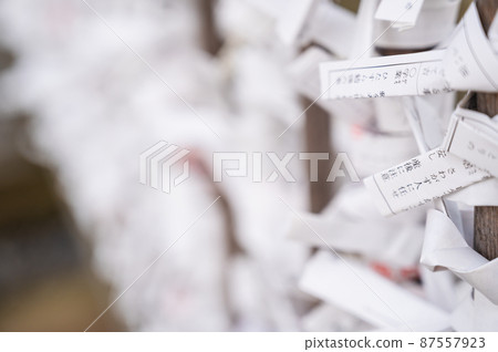 Fortune Fortune 87557923