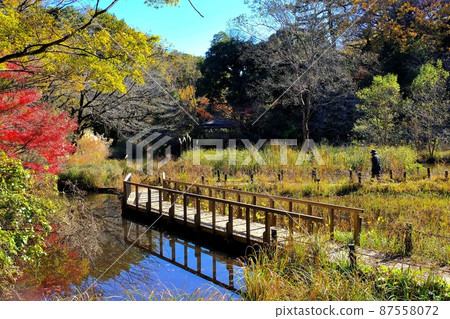 Institute for Nature Study attached to the National Science Museum 87558072