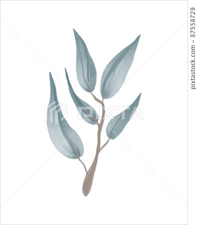 Eucalyptus branch hand drawn by watercolor. Vector illustration. Eucalyptus branch hand drawn by watercolor. Vector illustration. 87558729