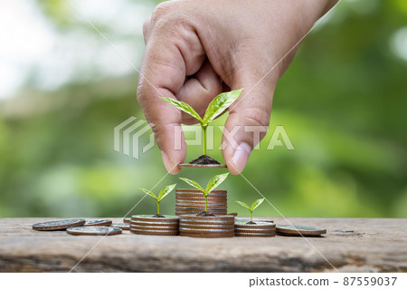 Tree growing on a pile of coins, business ideas, investments, and financial future planning for future security. 87559037