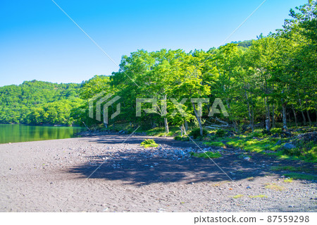 赤城大沼湖畔岸景初夏風景 87559298