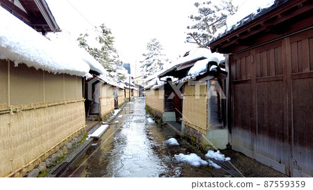 金澤長町武士住宅遺址周圍的雪景 金澤長町武士住宅遺址周圍的雪景 87559359