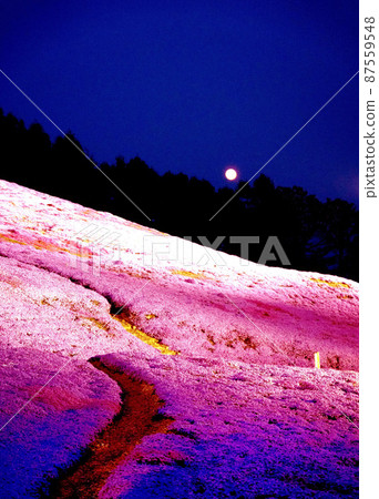 燈火通明的北海道東本琴芝櫻公園 87559548