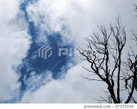 天空雲彩 87559556