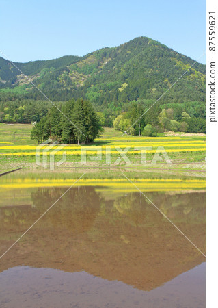 May in Azumino Satoyama where rape blossoms bloom 87559621