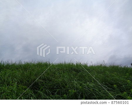 草 草 87560101
