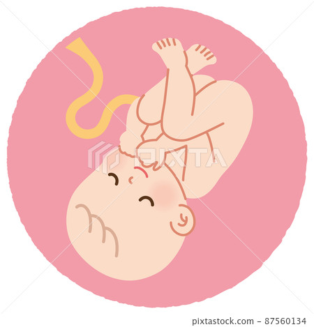 嬰兒胎兒睡在肚子裡 87560134