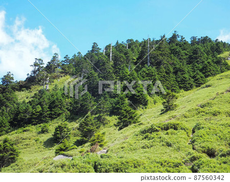 中築、清境、武陵農場 87560342
