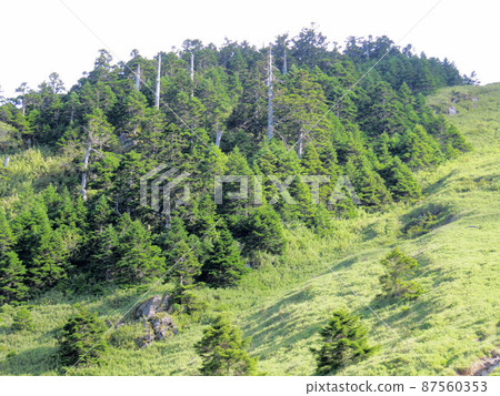 Zhongzhu, Kiyosakai, Wuling Farm Zhongzhu, Kiyosakai, Wuling Farm 87560353