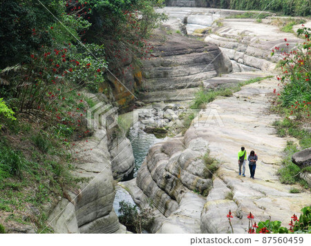 雲林、鬥六、虎尾、新港、北港、佐佐木港、老礦山 87560459