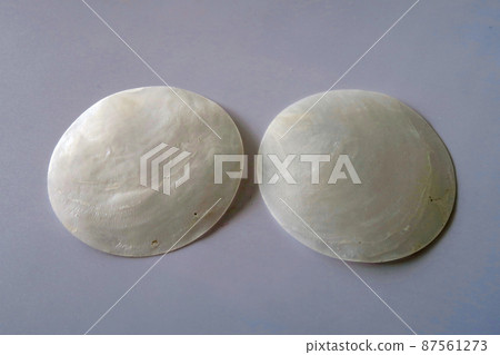 Capiz shellfish Capiz shellfish 87561273