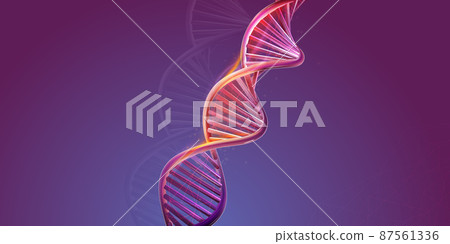 DNA double helix structure on a purple background. DNA double helix structure on a purple background. 87561336