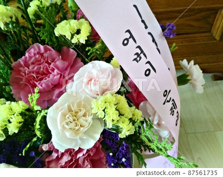 Mothers day carnation 87561735