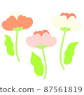 Spring flower  87561819