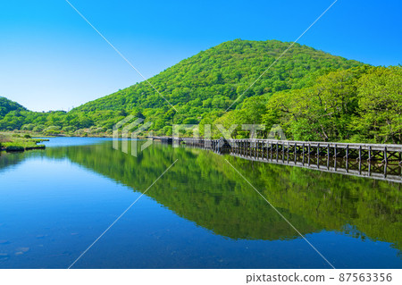 赤城公園 角萬淵 海濱長廊的景色 初夏的景色 87563356