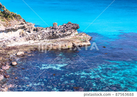 【靜岡縣】伊豆白濱海岸，美麗的翠綠海灘 87563688