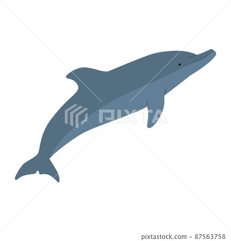 海豚的插圖 海豚的插圖 87563758