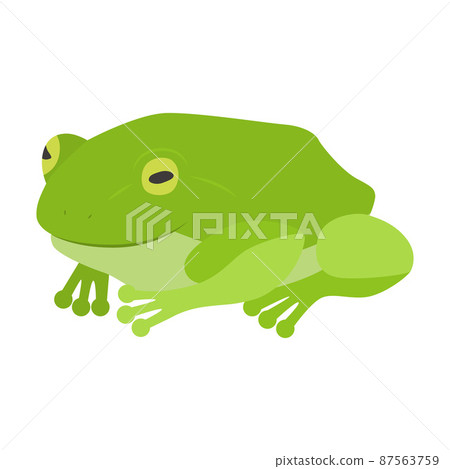 一隻青蛙的插圖 87563759