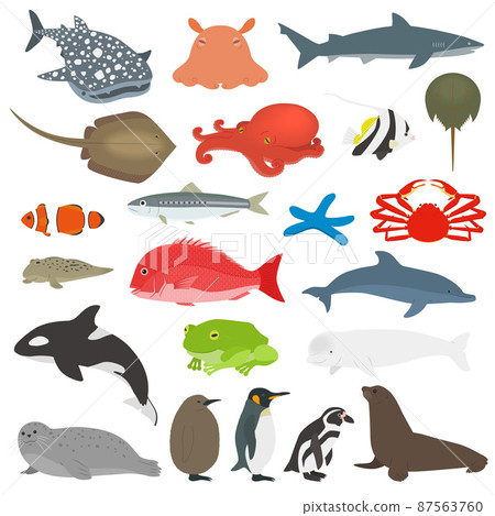 Illustration set of aquarium creatures 87563760