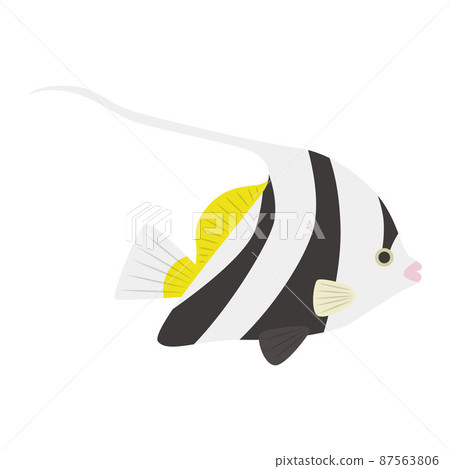 石斑魚的插圖 87563806