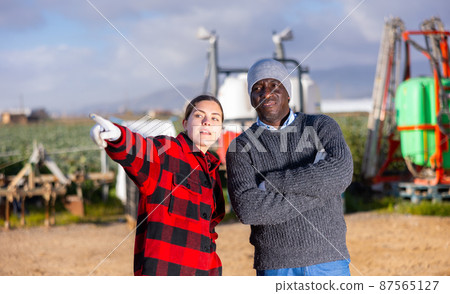 Two horticulturists having conversation while standing on plantation Two horticulturists having conversation while standing on plantation 87565127
