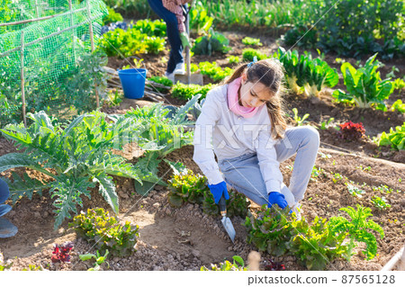 teenage girl with scoop caring for plants teenage girl with scoop caring for plants 87565128