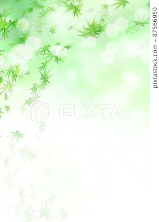 Fresh green maple leaf background Fresh green maple leaf background 87566950