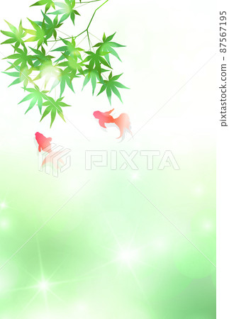 Fresh green maple goldfish background Fresh green maple goldfish background 87567195