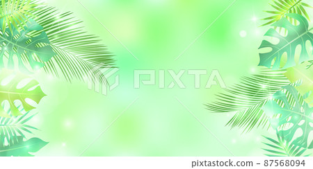 新鮮的綠葉,觀葉植物背景 新鮮的綠葉,觀葉植物背景 87568094
