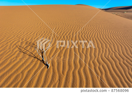 Erg Chebbi, sand desert of Merzouga, southeast of Morocco. Popular destination for travellers. Erg Chebbi, sand desert of Merzouga, southeast of Morocco. Popular destination for travellers. 87568096