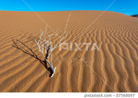 Erg Chebbi, sand desert of Merzouga, southeast of Morocco. Popular destination for travellers. 87568097