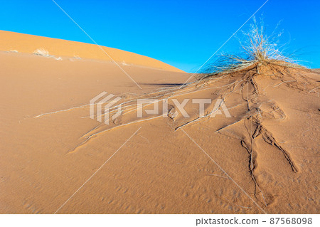 Erg Chebbi, sand desert of Merzouga, southeast of Morocco. Popular destination for travellers. Erg Chebbi, sand desert of Merzouga, southeast of Morocco. Popular destination for travellers. 87568098