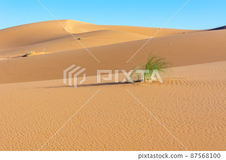 Erg Chebbi, sand desert of Merzouga, southeast of Morocco. Popular destination for travellers. 87568100