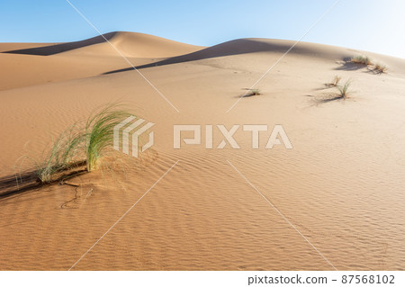 Erg Chebbi, sand desert of Merzouga, southeast of Morocco. Popular destination for travellers. Erg Chebbi, sand desert of Merzouga, southeast of Morocco. Popular destination for travellers. 87568102