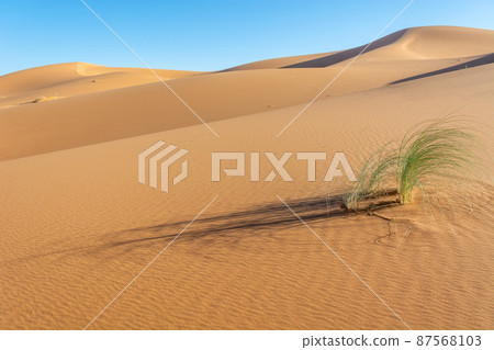 Erg Chebbi, sand desert of Merzouga, southeast of Morocco. Popular destination for travellers. Erg Chebbi, sand desert of Merzouga, southeast of Morocco. Popular destination for travellers. 87568103