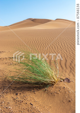 Erg Chebbi, sand desert of Merzouga, southeast of Morocco. Popular destination for travellers. Erg Chebbi, sand desert of Merzouga, southeast of Morocco. Popular destination for travellers. 87568138