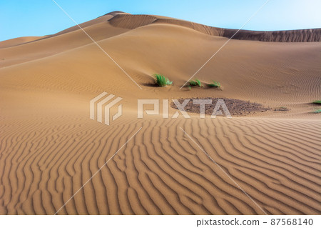 Erg Chebbi, sand desert of Merzouga, southeast of Morocco. Popular destination for travellers. 87568140
