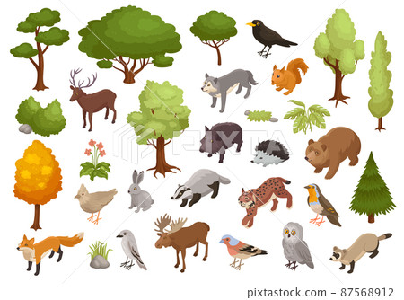 Forest Animals Icon Set Forest Animals Icon Set 87568912