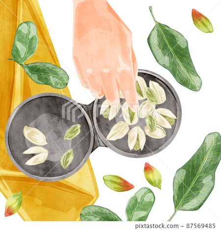 Hand drawn watercolor style illustration of pistachio Hand drawn watercolor style illustration of pistachio 87569485